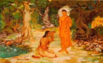 Ngủ an lành